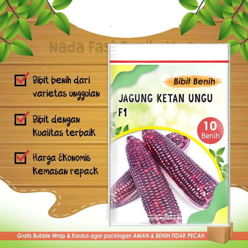 Bibit jagung ketan ungu F1 super 10 butir cepat tumbuh