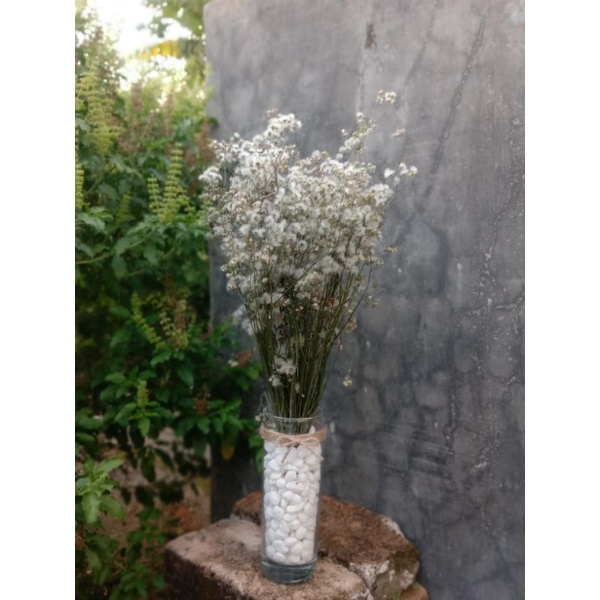 bunga kering/bunga aesthetic