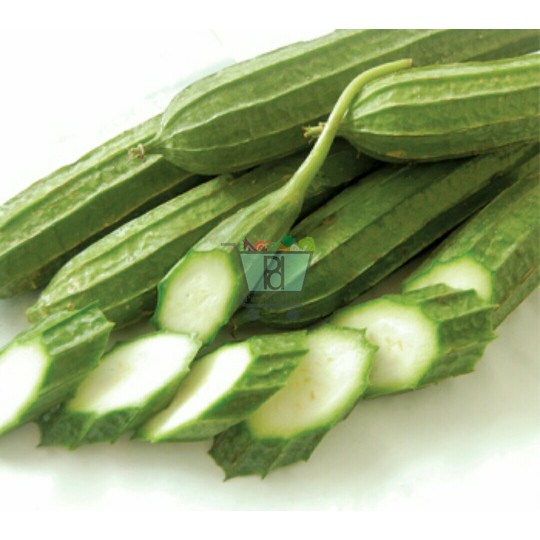 

Oyong 250 Gram