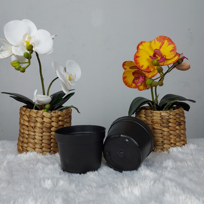 Pot Hitam 10 Pot HB 10 Pot Hitam Polos Kecil Pot Benih Pot Bibit