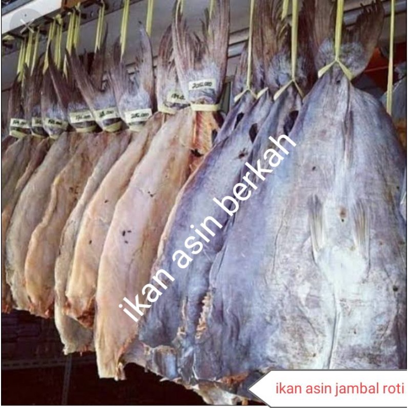 

ikan asin jambal roti