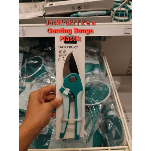 

Jackfrukt Gunting Bunga Plastik