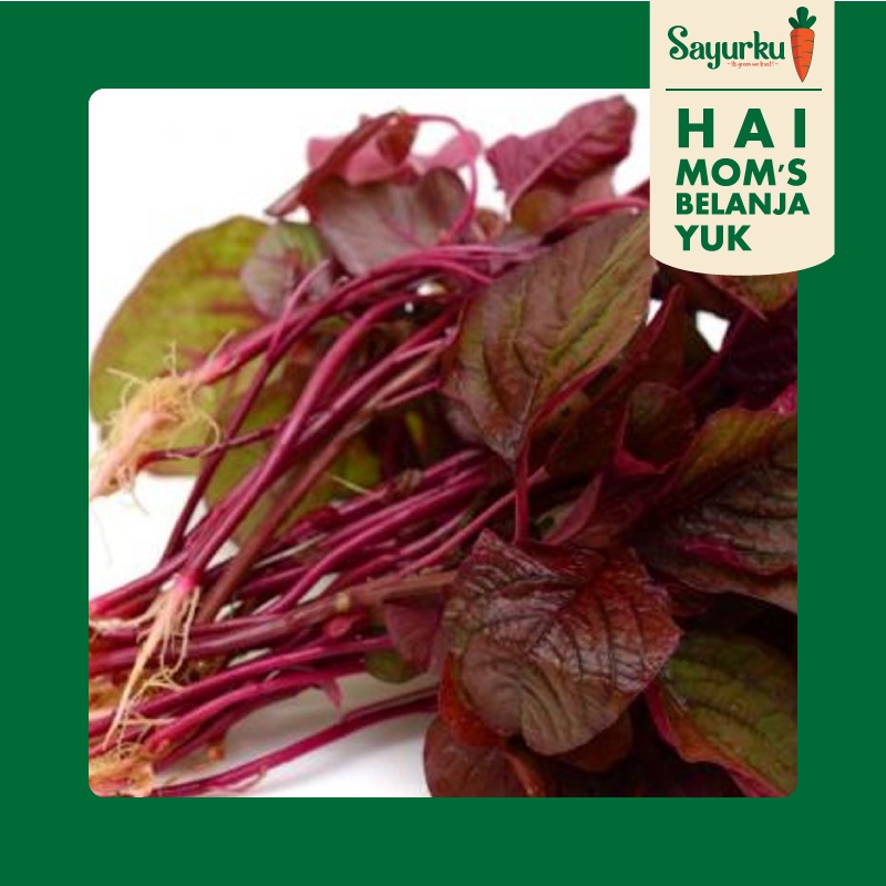 

Bayam Merah 500gr