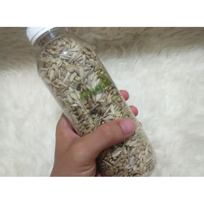

TLDW SUNFLOWER SEEDS 275 GR KEMASAN BOTOL (READY TO EAT) XOZE