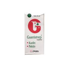 Guanistrep Suspensi 60 Ml - Sirup Diare Anak