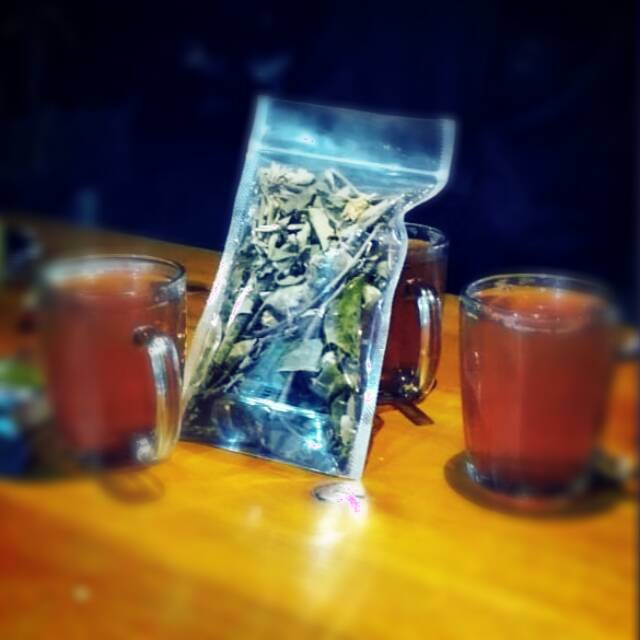

Benalu Teh