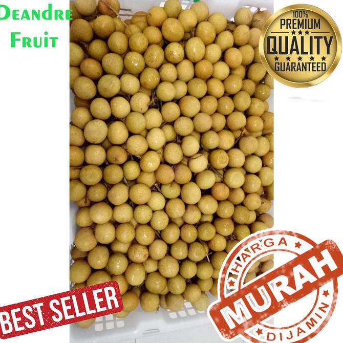 

SAYUR & BUAH GROSIR MURAH 1KG BUAH LENGKENG SUPER JUMBO BANGKOK KELENGKENG MAKANAN & MINUMAN
