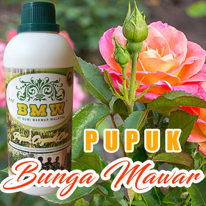 Pupuk Bunga Mawar Ros Organik Memacu Bunga Tanaman Hias Aneka Mawar P1713 Shopee Indonesia