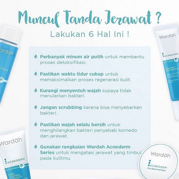 ⭐BAGUS⭐ WARDAH ACNEDERM SERIES PAKET | Cleanser / Acne Spot / Day / Night Cream / Toner / Face Powder