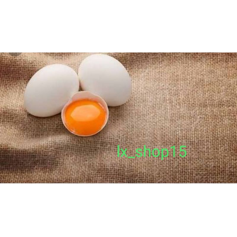 

Telur Ayam Kampung Omega3