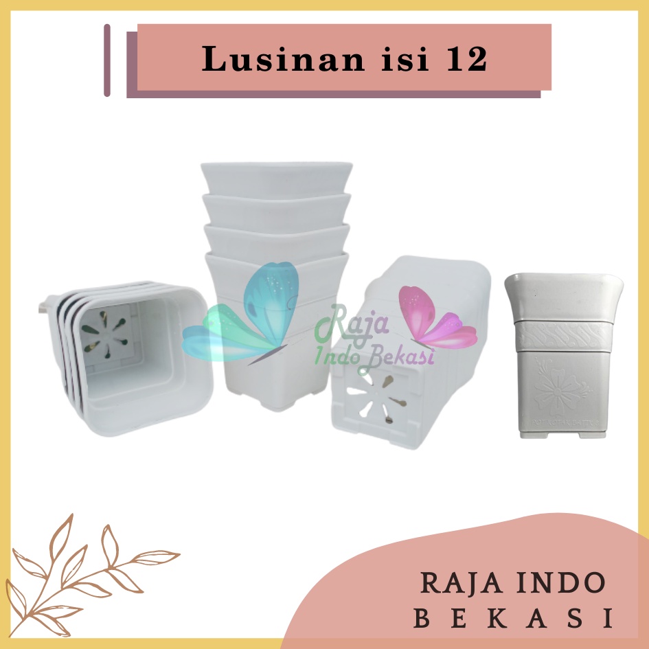 Lusinan Pot Kotak Sofi Batik 8 Cm Putih Tebal Pot Kaktus Mirip Juos Juoss Mini Pot Kotak Tinggi 8 10 Cm Putih Bunga Artificial