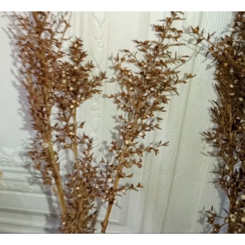 Bunga Kering (Rustic) Jarang Ditemui Murah per ikat