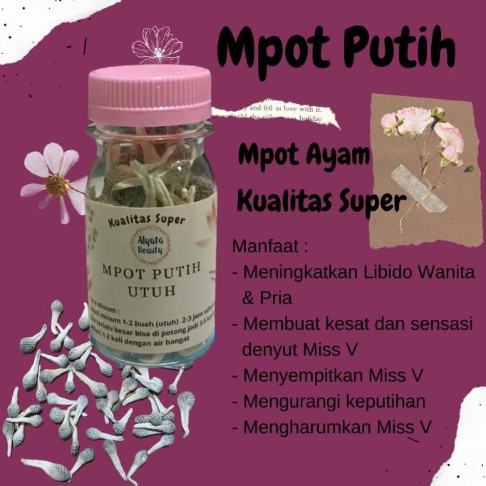 

Empot Mpot Putih Mpot Ayam Biangan Kualitas Super Mpot Ayam Putih Utuh Premium