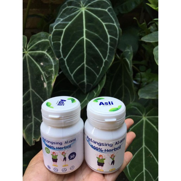 PELANGSING AMPUH / PELANGSING HERBAL 100% ALAMI