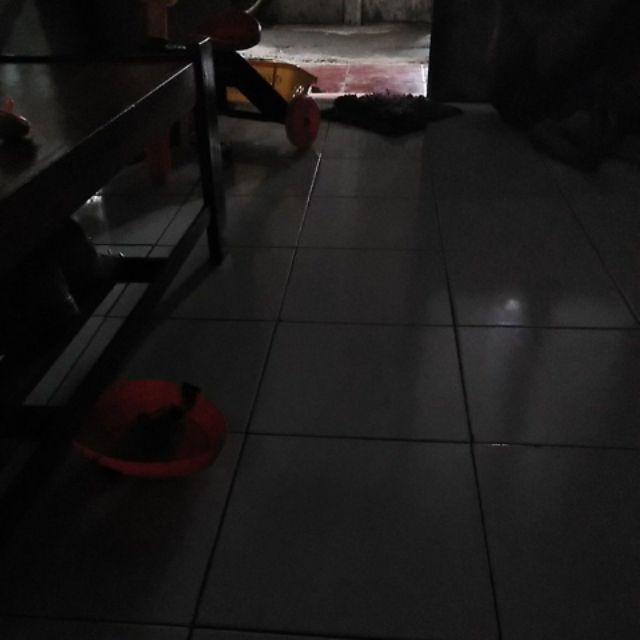 [bisa Cod] Promo Murah Rak Gantung Obat Motif Bunga Full Resleting Kualitas Terbaik Dan Termurah