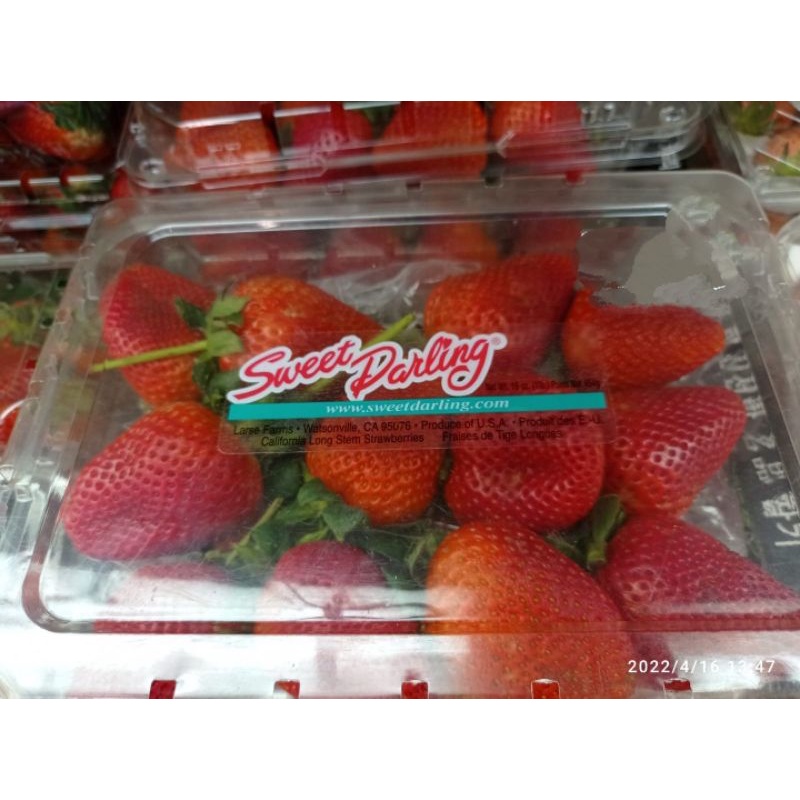 

STRAWBERRY USA DRISCOLL LONG STEAM 454GR - PREMIUM STRAWBERY USA