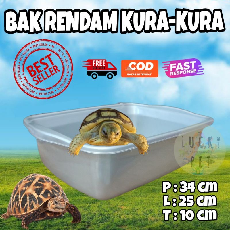 Bak rendam jemur berendam torto tortoise kura kura sulcata sulkata reptil box kotak reptile kura kur