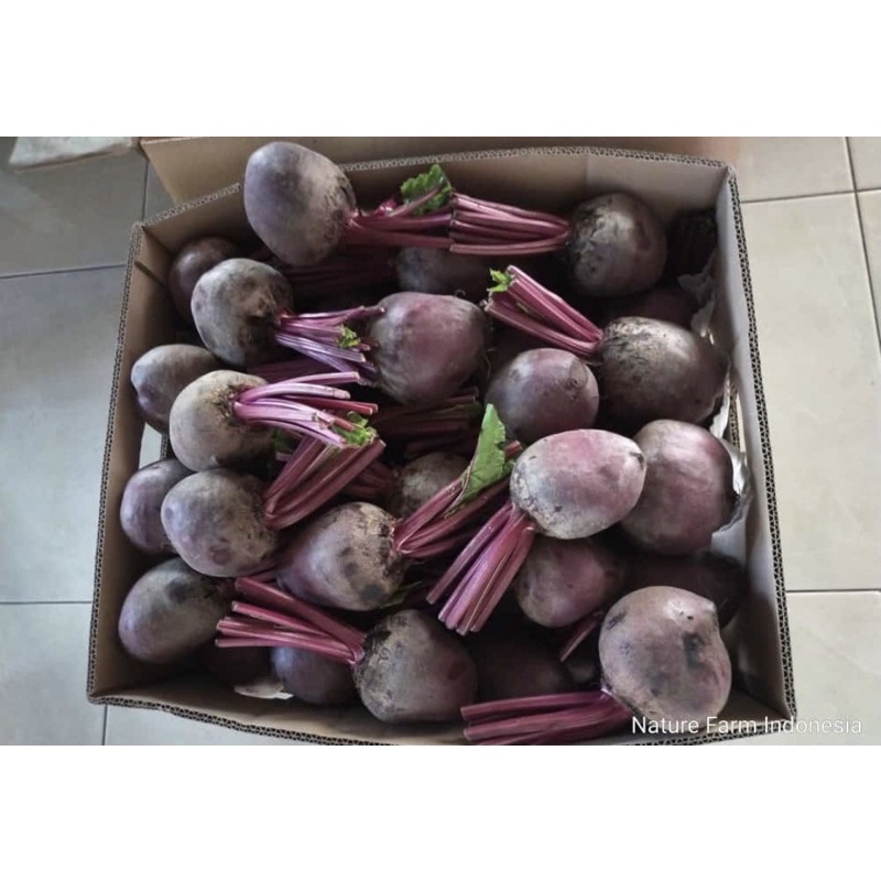 

Buah Bit/Beetroot 1kg