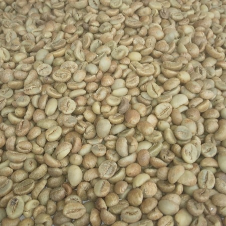 

OXXSFORD X Grade Green Bean biji kopi Rbusta Kerinci 1kgAsli dari dataran tinggi