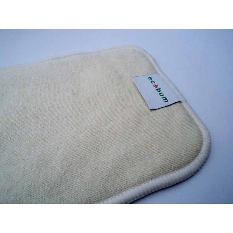 ECOBUM-INSERT REG HEMP | Insert Clodi | Kain Penyerap