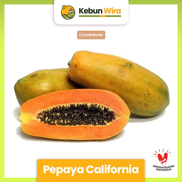 

Pepaya California 500 gram