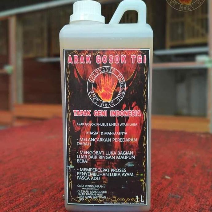 Arak Gosok TGI khusus ayam adu