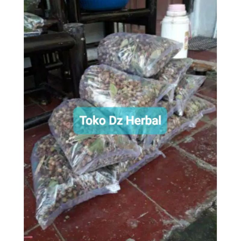 

Paket 500 gram buah senduduk senggani segar
