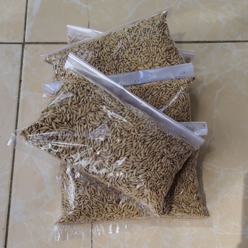 

PROMO HEMAT Padi Merah Local Original Paket 300 grm
