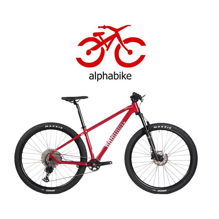 SEPEDA GUNUNG MTB 29 INCH DOMINATE AXC ELITE