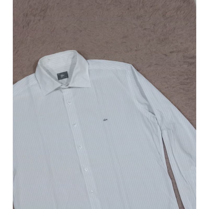 kemeja lacoste second