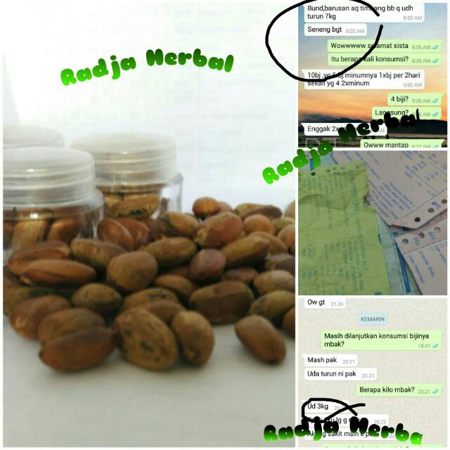 Kacang Dewa Hemat 8 Biji Untuk Diet Anda