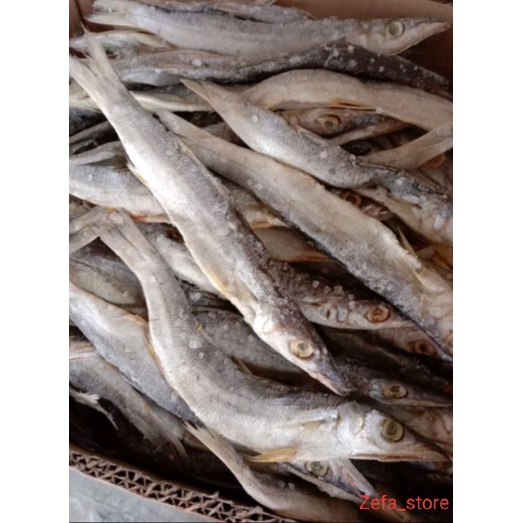 

ikan tunul 250g
