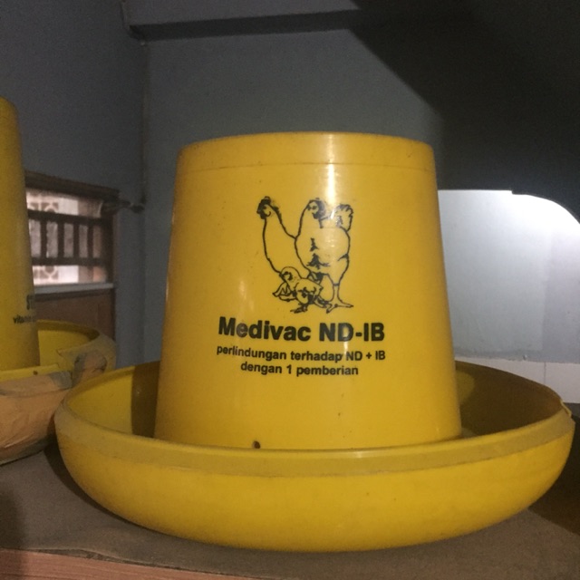Tempat Makan Ayam 3kg Medion Shopee Indonesia