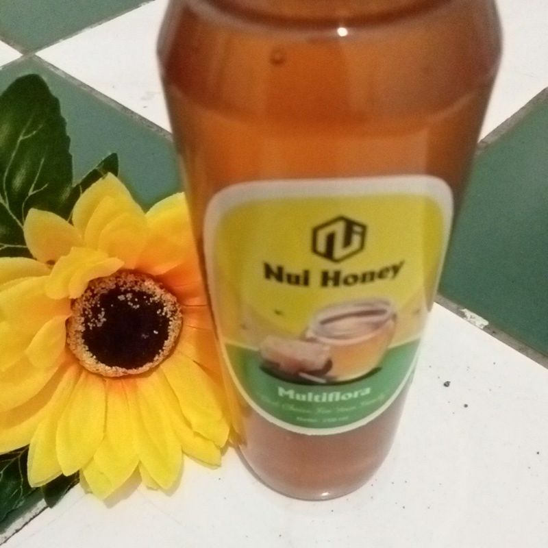 

Nuihoney Madu Murni Nektar Multiflora (250 ml/330 gram)