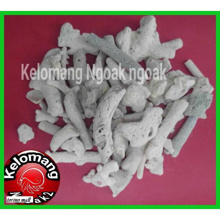 

Nainatrepukub- Karang Jahe / Serpihan Karang -Ukub.