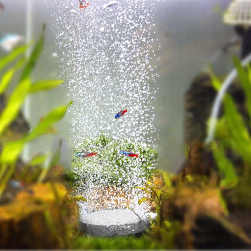 [Elegan] Aquariums Aksesoris Aerator Tangki Ikan Pompa Hidroponik Plat Diffuser