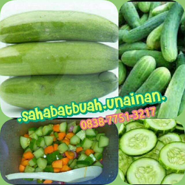 

timun lokal#buah#makanan#sayuran#vitamin