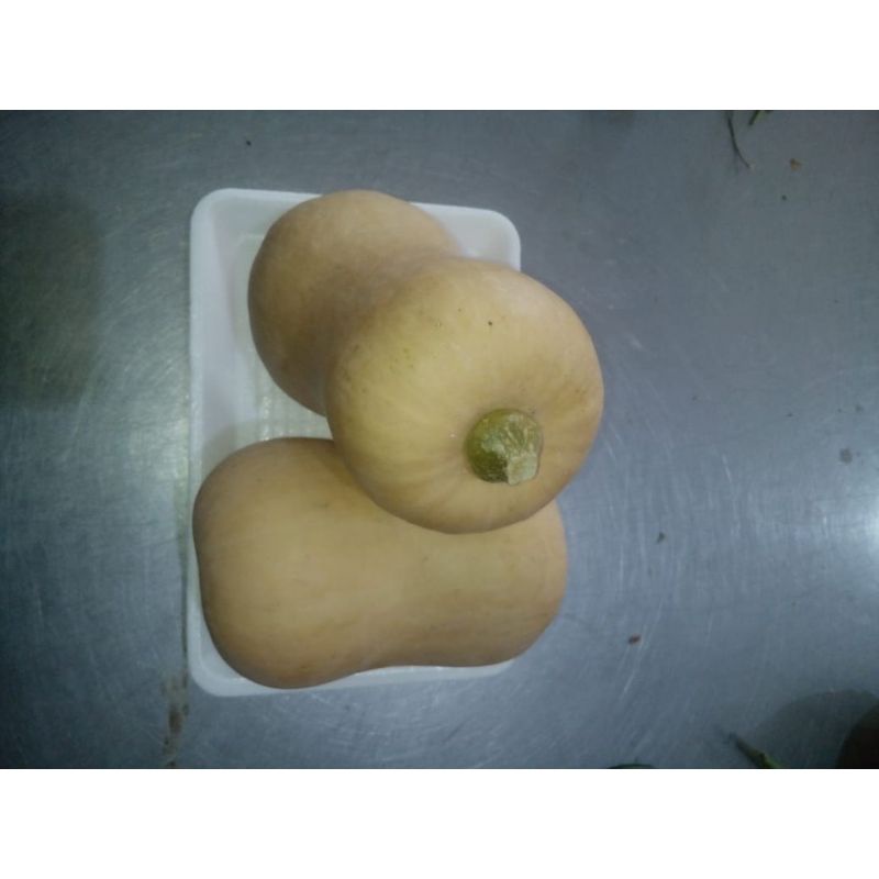 

Labu madu/butternut pamkin 1buah