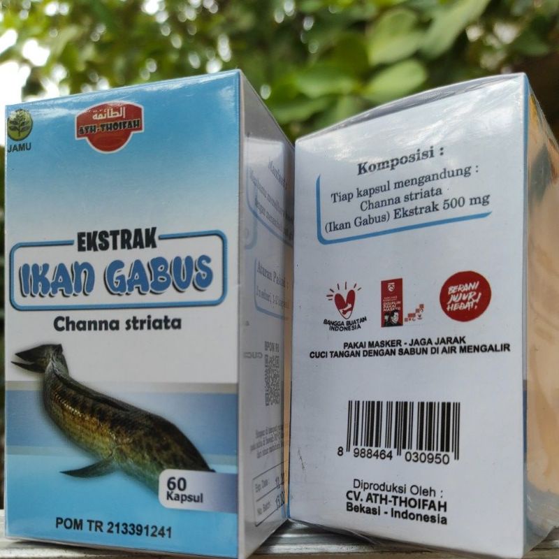 

KAPSUL IKAN GABUS ATH-THOIFAH 60kasul