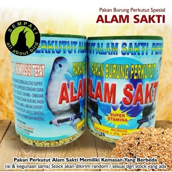 PUSAKA MADURA ALAM SAKTI PAKAN BURUNG PERKUTUT