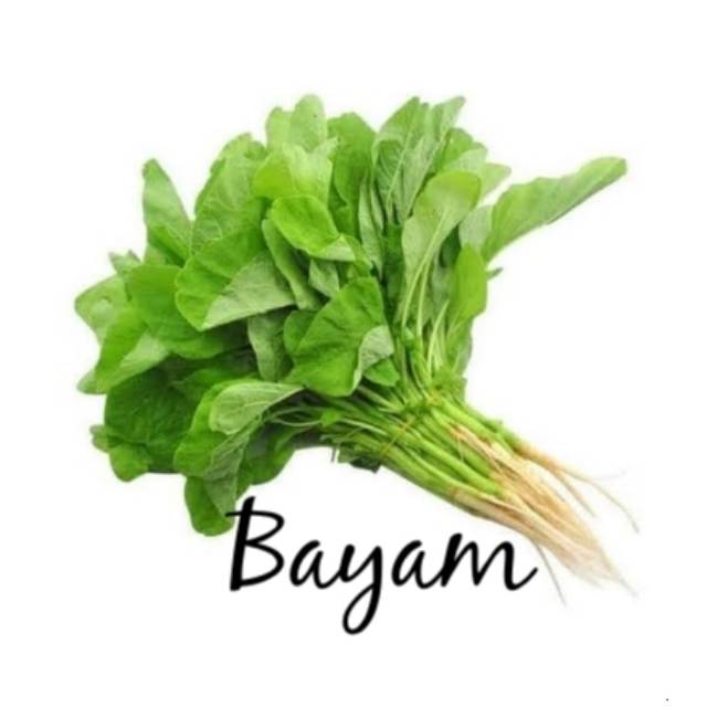 

Sayur Bayam Hijau 1 Ikat