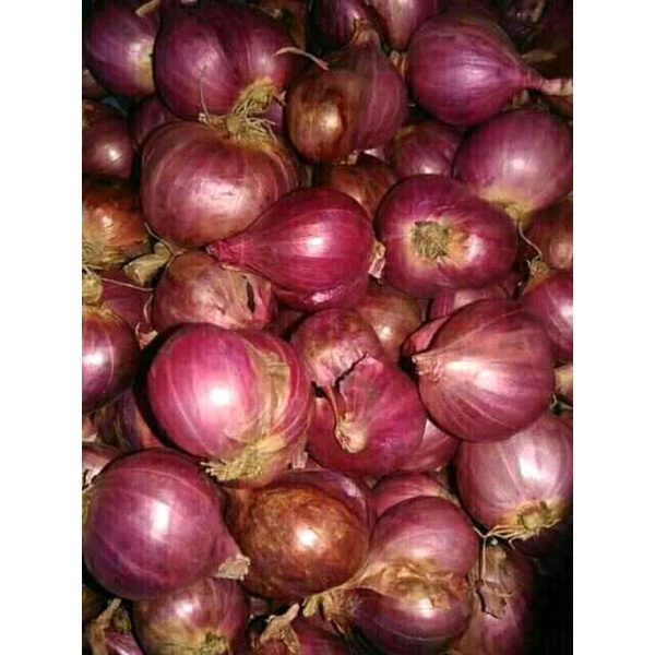 

bawang merah