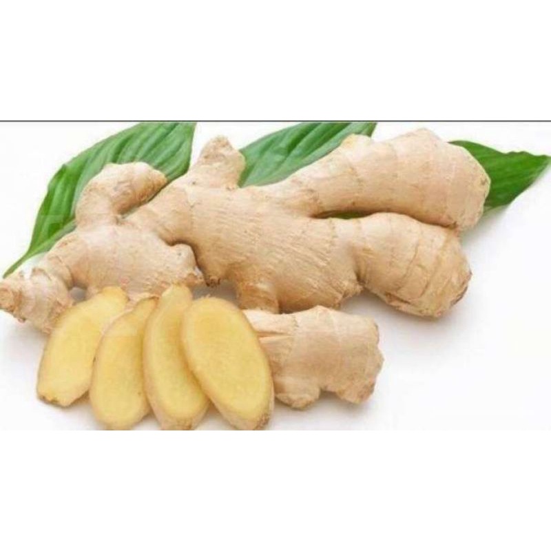 

Jahe putih serba 3rb