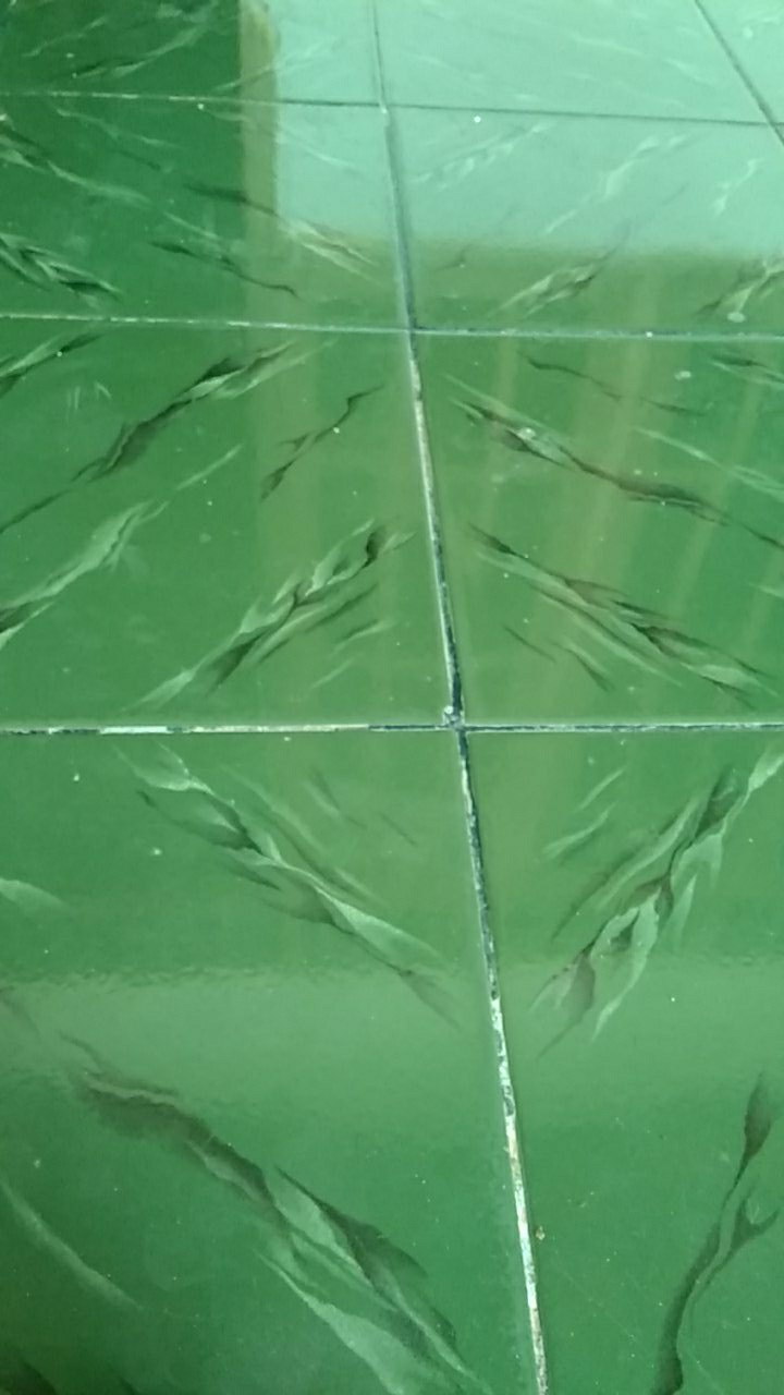 Petite Fiesta (2 Pcs)  Wadah Mini Tupwr