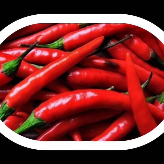 

SAYURAN SEGAR CABAI MERAH