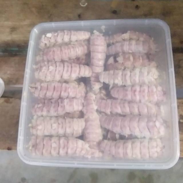 

Udang ronggeng kupas lipan