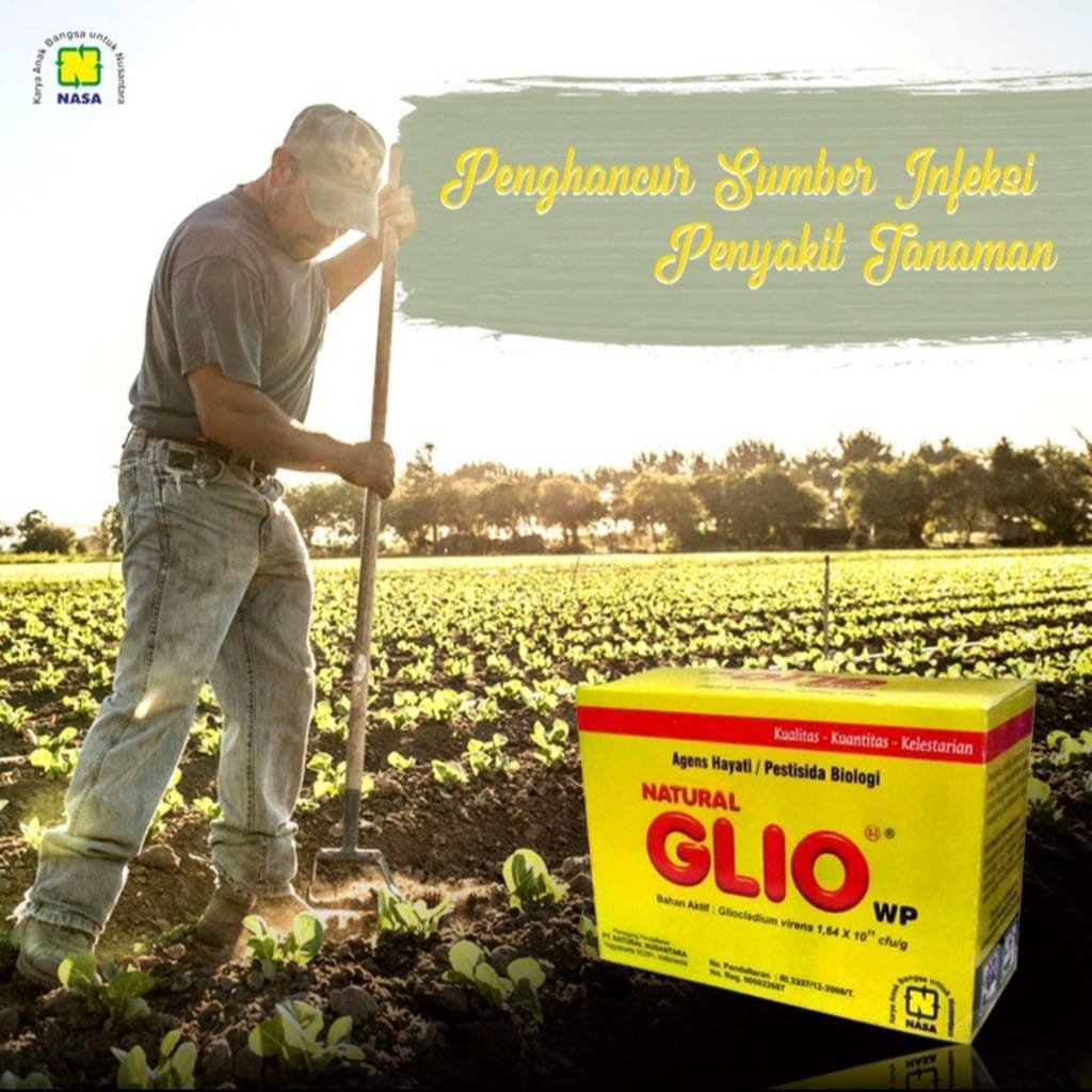 Promo NATURAL GLIO Pengendali Jamur Fusarium Penyebab Layu Tanaman 100 Gram /Fungisida Organik NASA / Obat Jamur Tanaman Hias / Obat Jamur Tanaman Buah / Obat Jamur Tanaman Cabe / Obat Jamur Akar Tanaman / Fusarium /Obat Jamur Akar Putih / Obat Layu