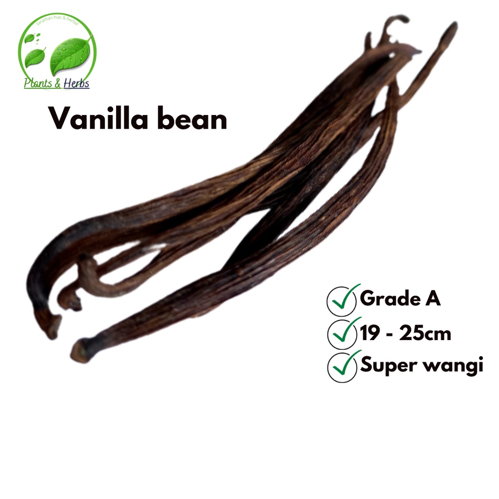 

10 Gram Biji Vanili Kering Utuh - Vanilla Bean Kualitas Super