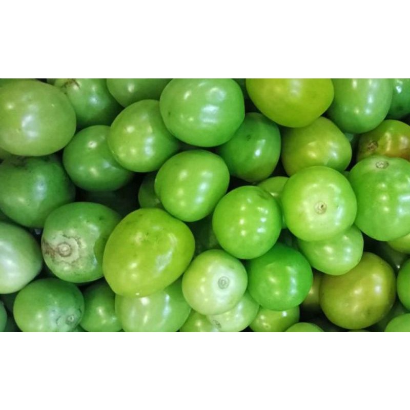 

Tomat Hijau Segar 500 gram SAYUR GEDEBAGE PRAKTIS BANDUNG
