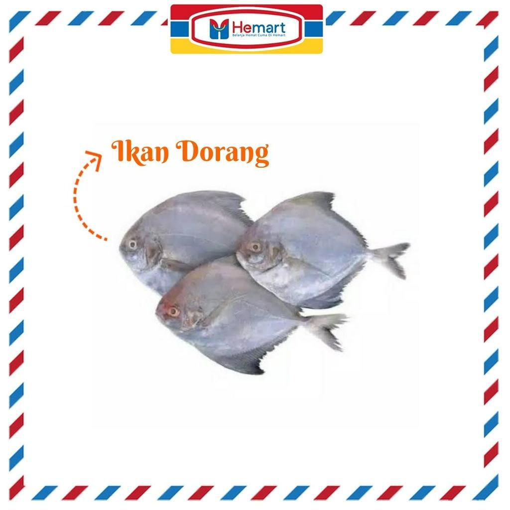 

IKAN DORANG 1 KG / IKAN SEGAR